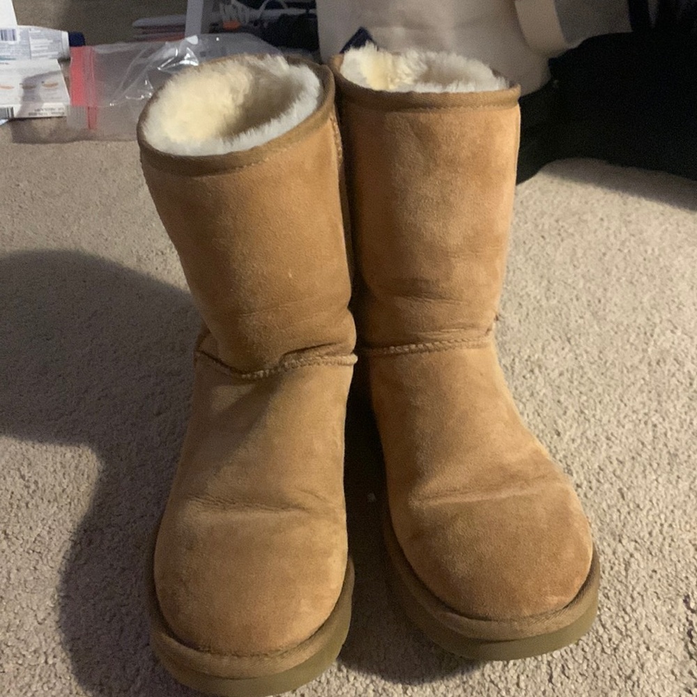 Classic Short Uggs (Chestnut)